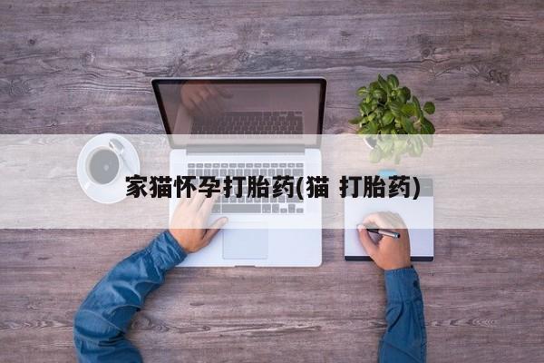 药流药购买方式家猫怀孕打胎药(猫 打胎药)